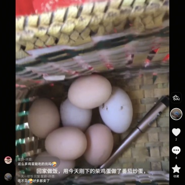 自家养的鸡下的柴鸡蛋
