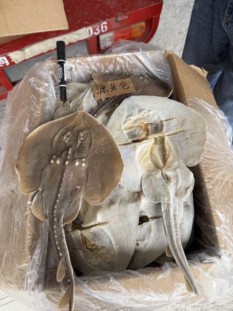 瑶鱼（魔鬼鱼）干度好，没有小刺，软骨头