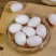 鸽蛋