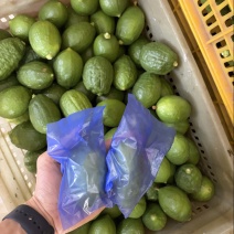 香水柠檬