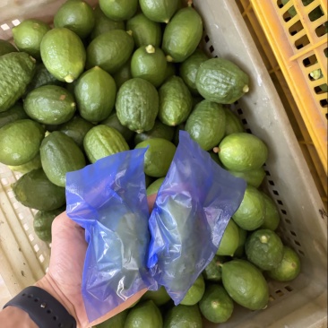 香水柠檬