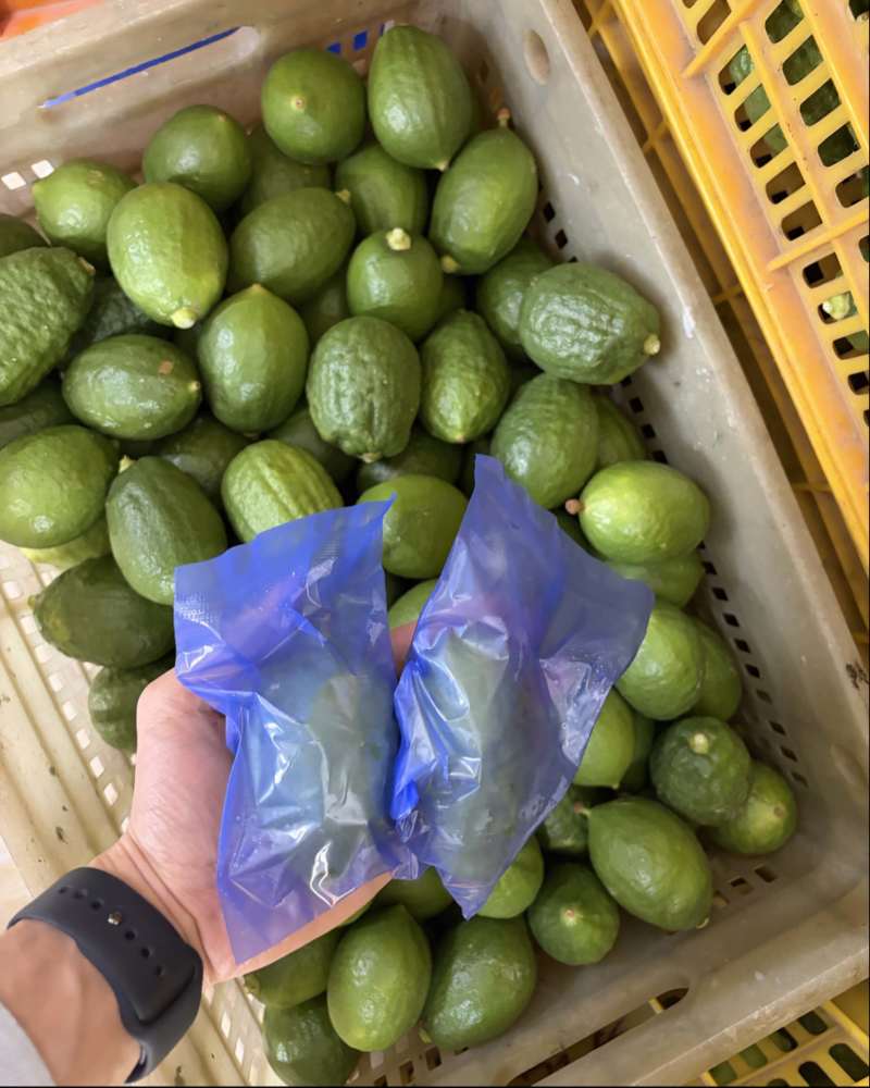 香水柠檬