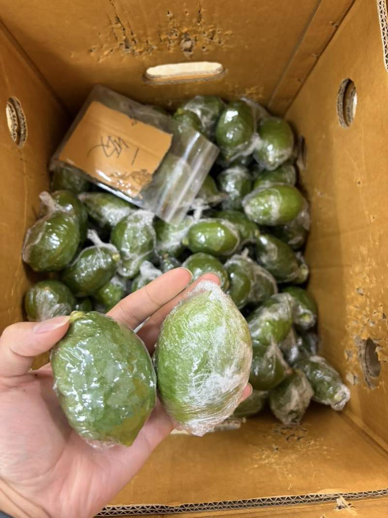 香水柠檬