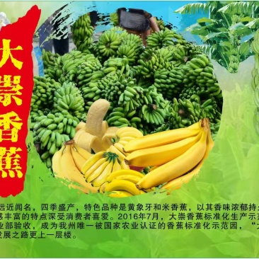 香蕉