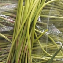 河南新乡蒜苔