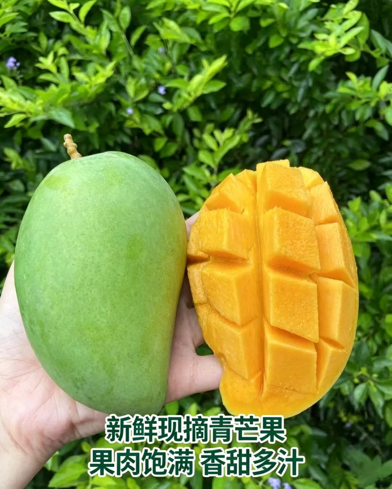 芒果、台农芒果