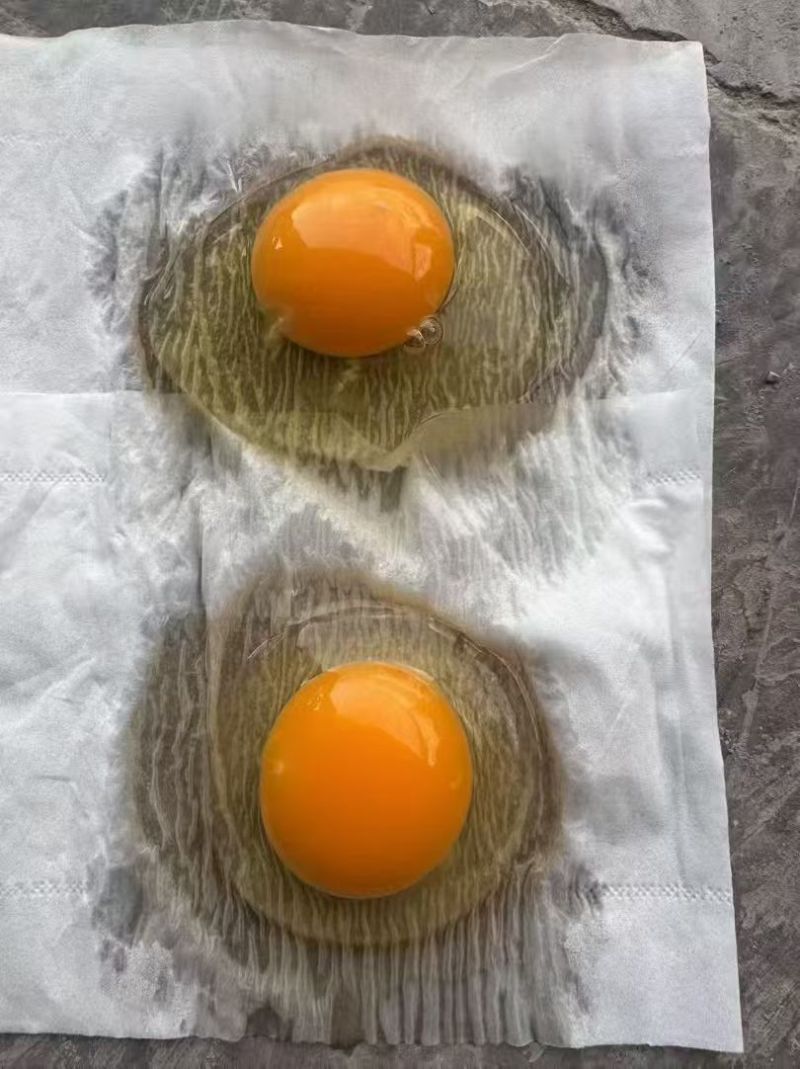 海澜罗曼大午金凤