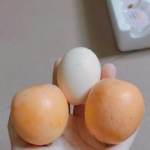 重庆市合川区枇杷生产基地