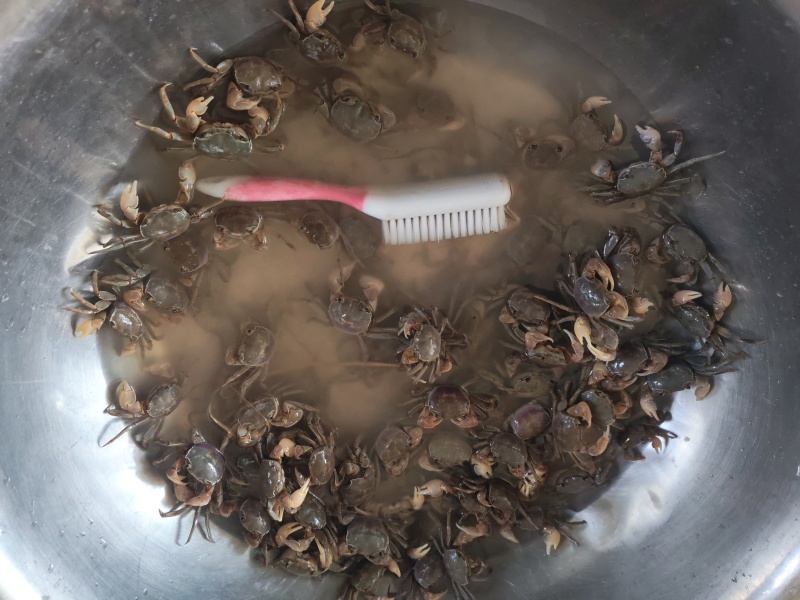 盘锦烧夹子，彭琦
