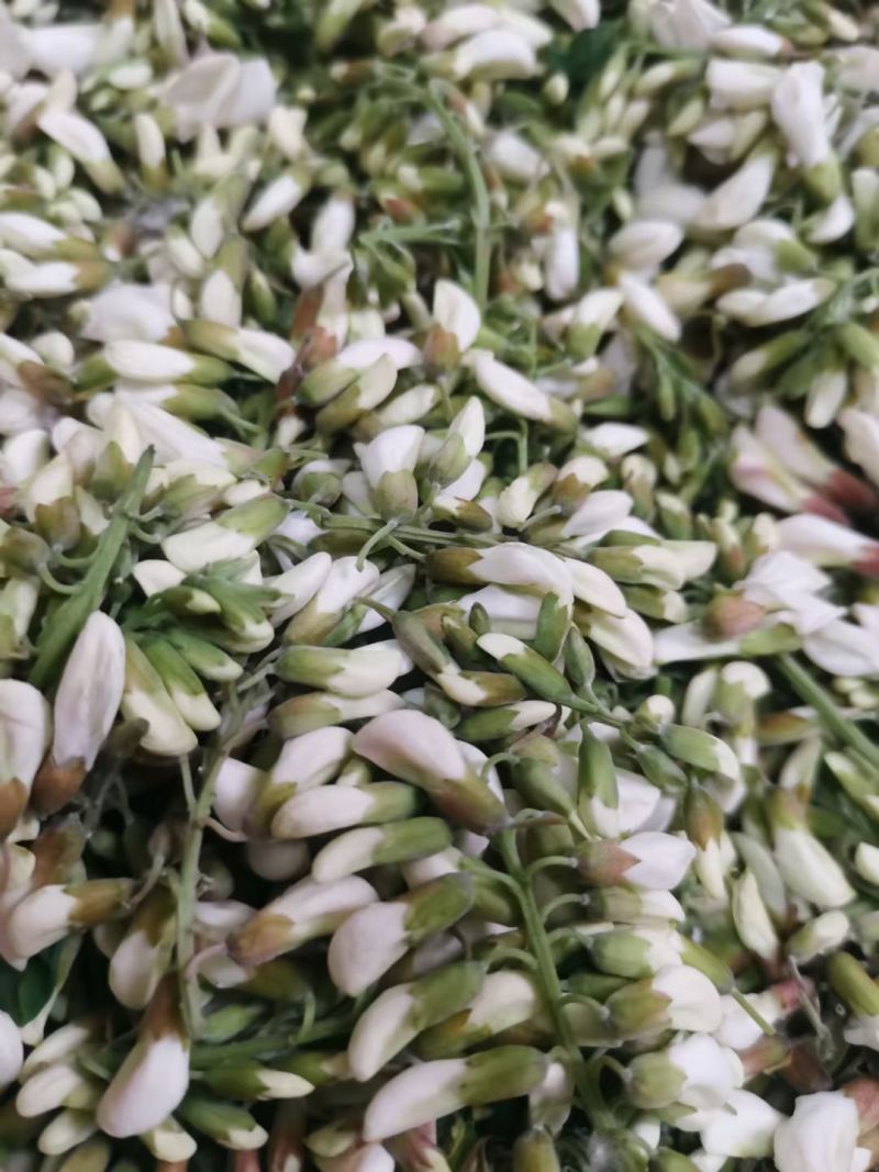 鲜槐花