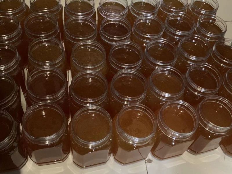 传统土养中蜂土蜂蜜一手货源大量有货自己养殖