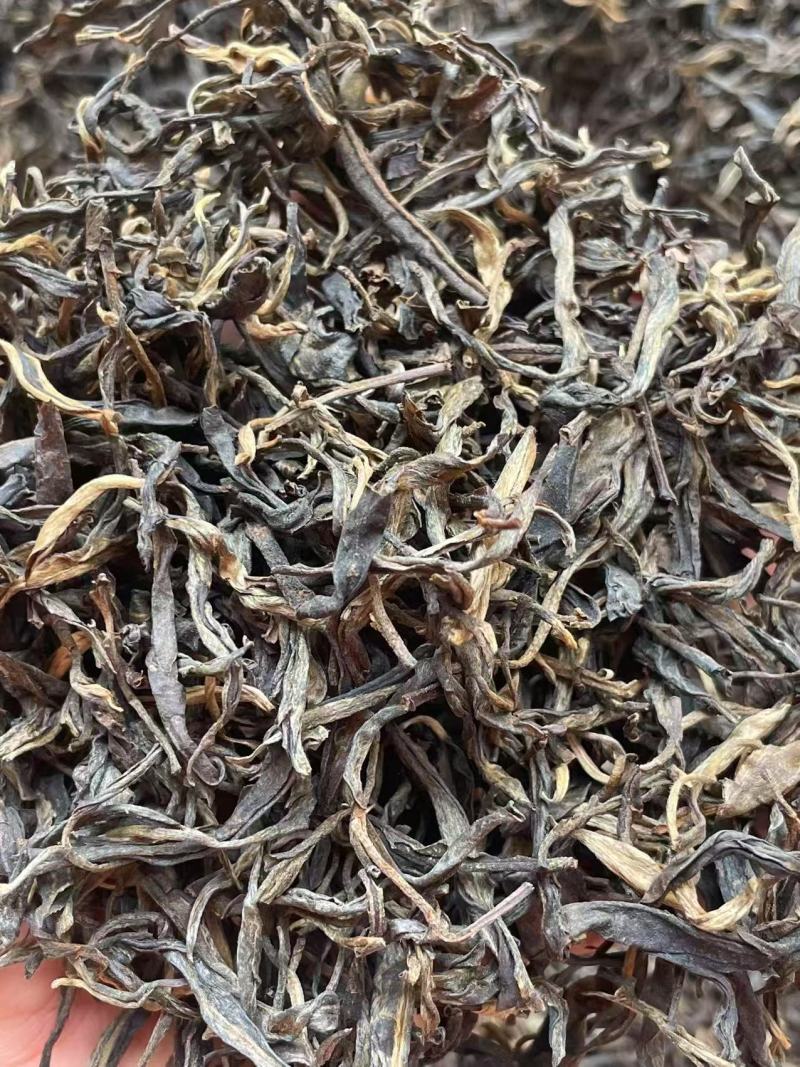 自家乔木茶