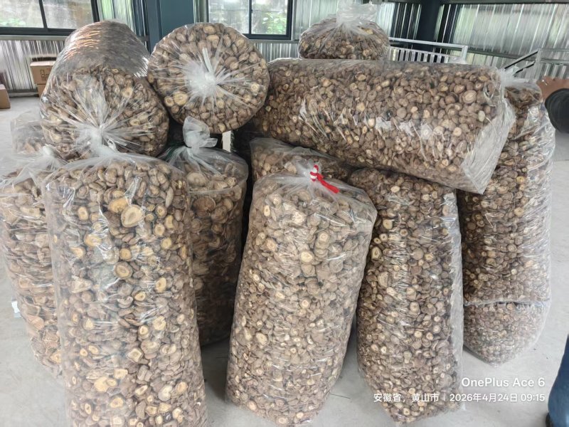 干香菇，约500斤，有意者联系