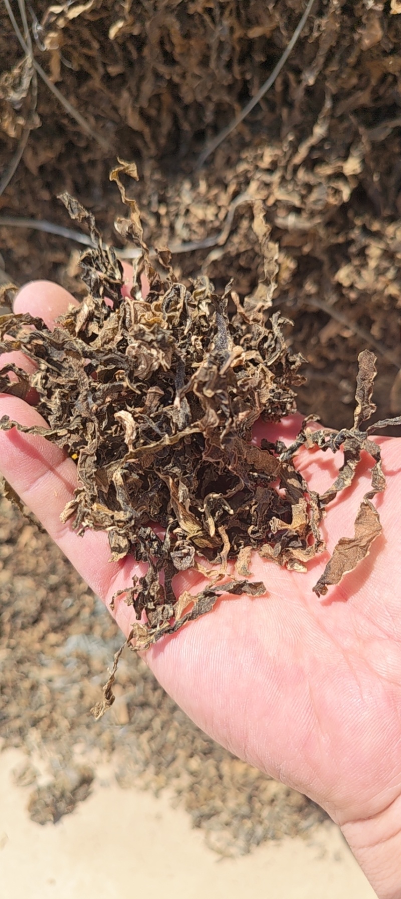 梅干菜，十成干，无沙粒