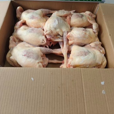 一级二级老母鸡规格齐全，工厂直销，量大优惠