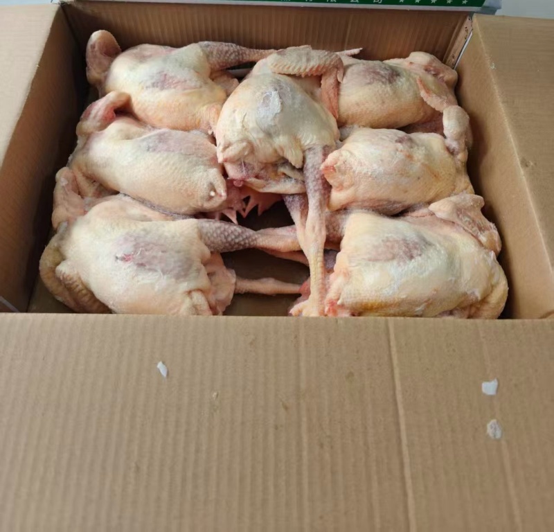 一级二级老母鸡规格齐全，工厂直销，量大优惠