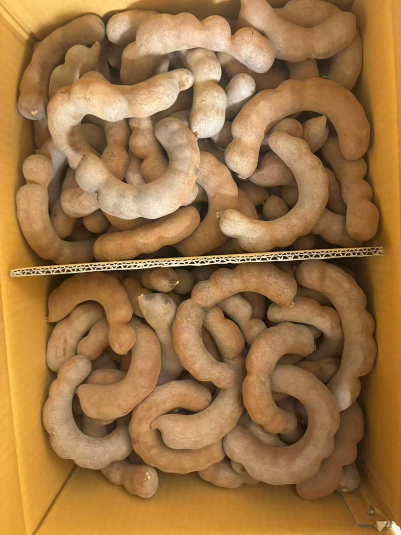 甜角甜酸角酸角
