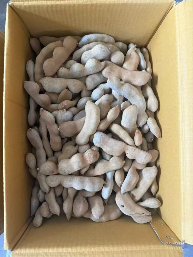 甜角甜酸角酸角