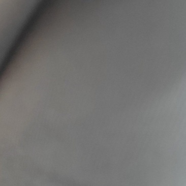 新疆阿克苏小白杏