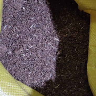 批发茶枯粉农用种菜种菜专用肥料茶枯粉茶枯茶籽洗碗肥料茶麸