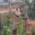楚雄双柏生态土鸡