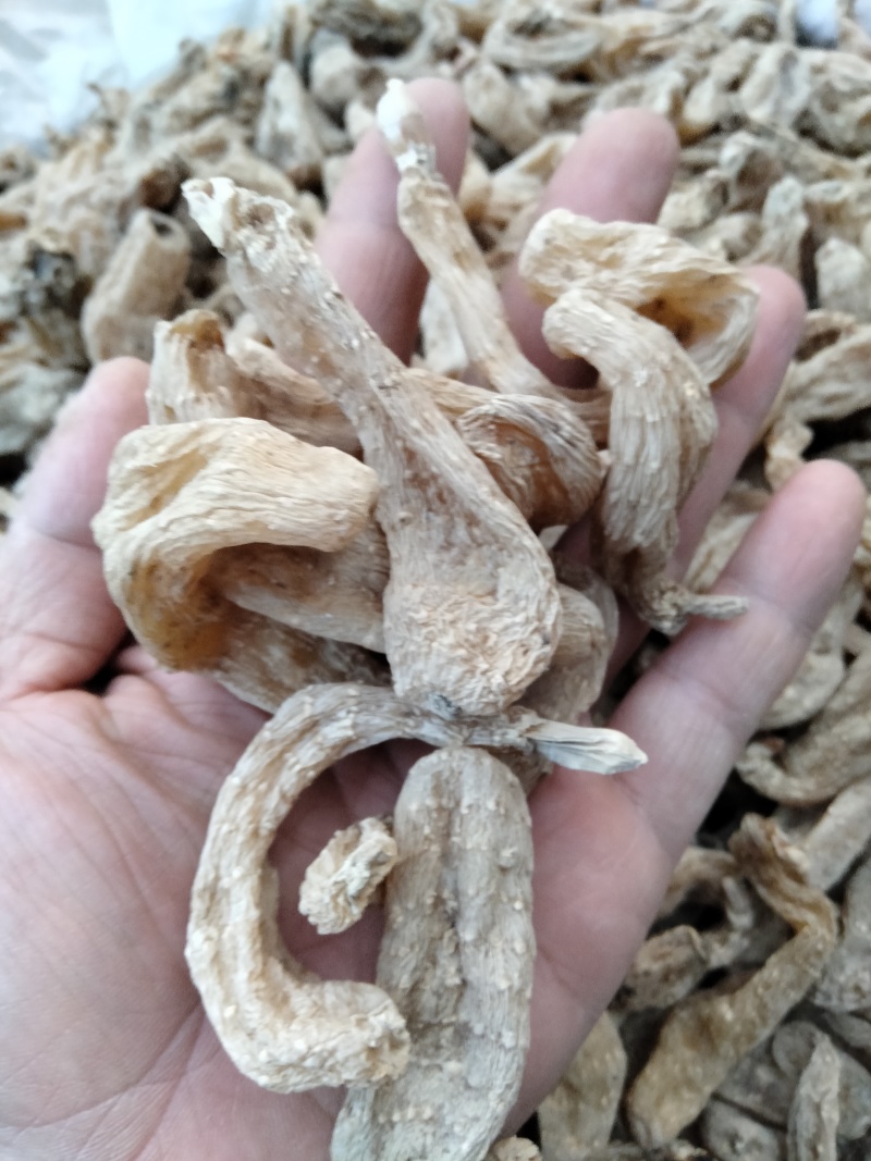 干货天麻药食同用