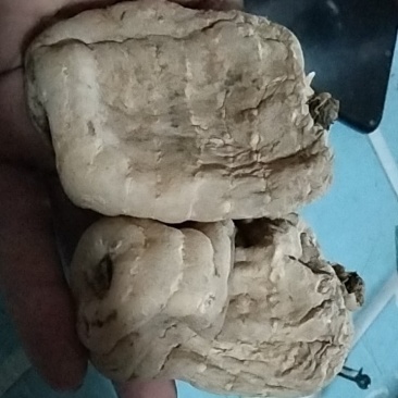 乌天麻药食同源对偏头疼都有很好的效果