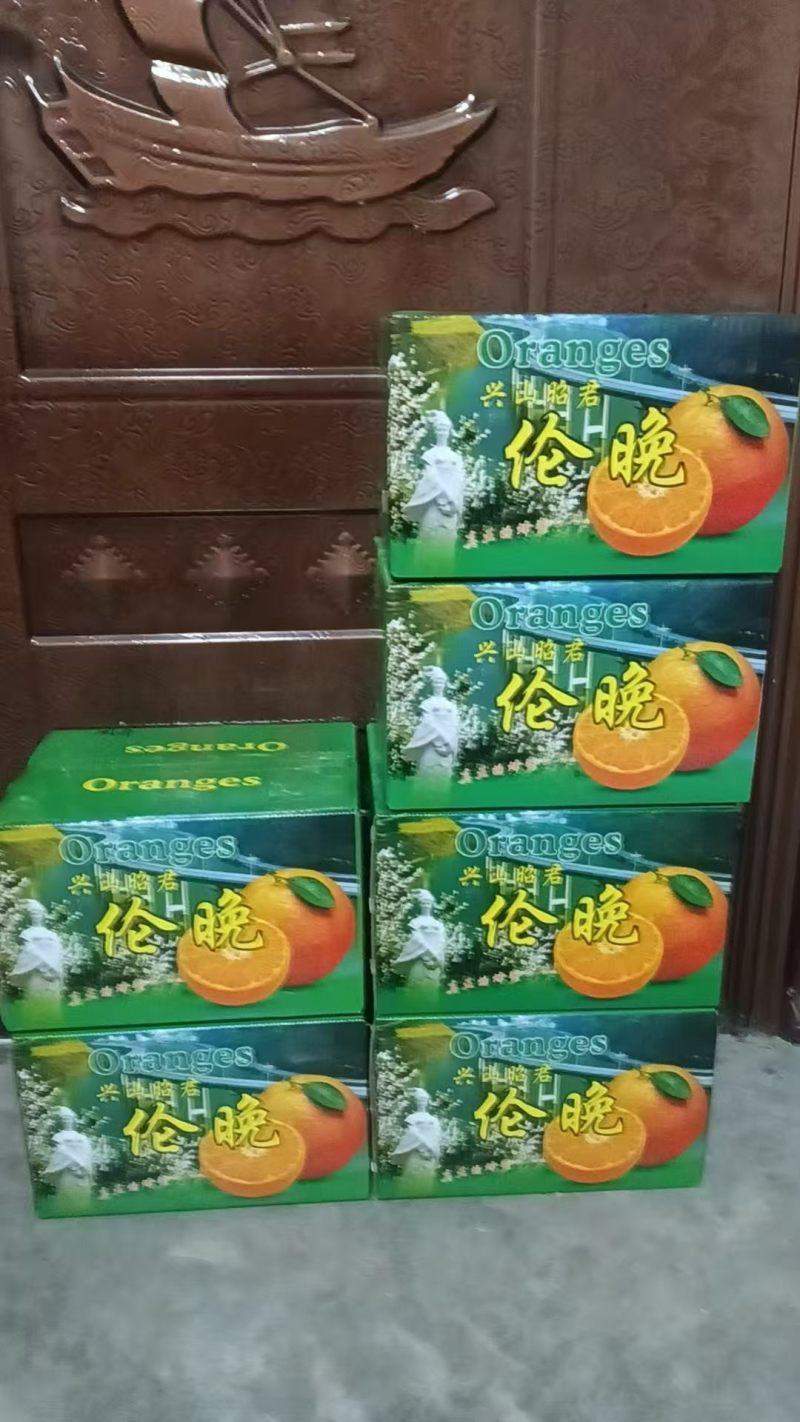 湖北伦晚