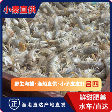 团购**（鲜活皮皮虾）