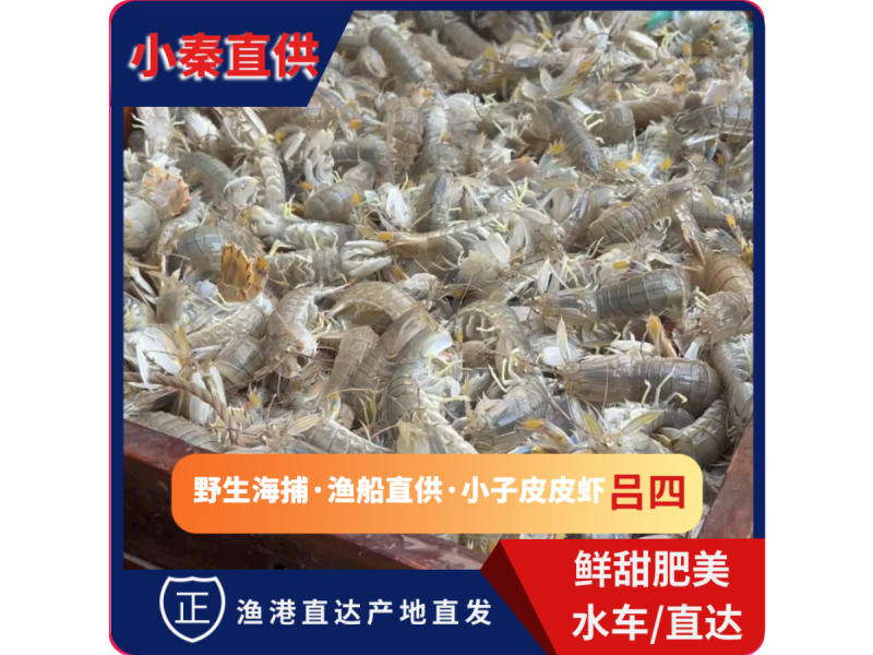 团购**（鲜活皮皮虾）