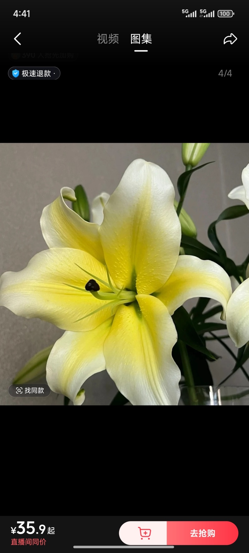 香水百合鲜花，香水百合种球