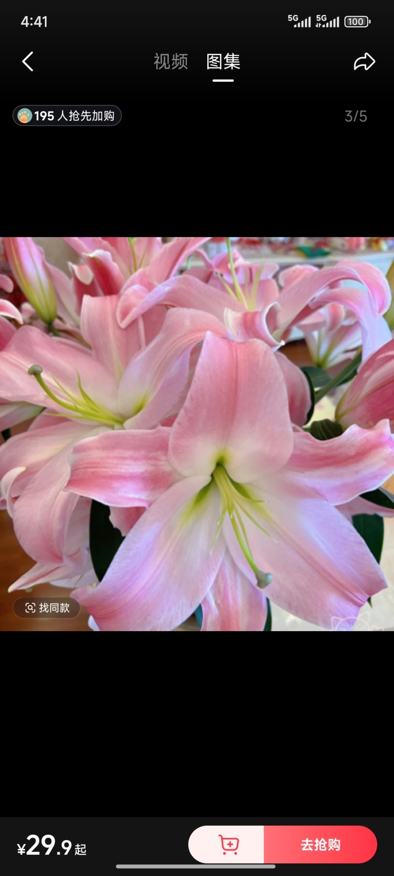 香水百合鲜花，香水百合种球