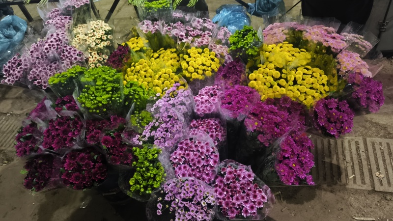 香水百合鲜花，香水百合种球