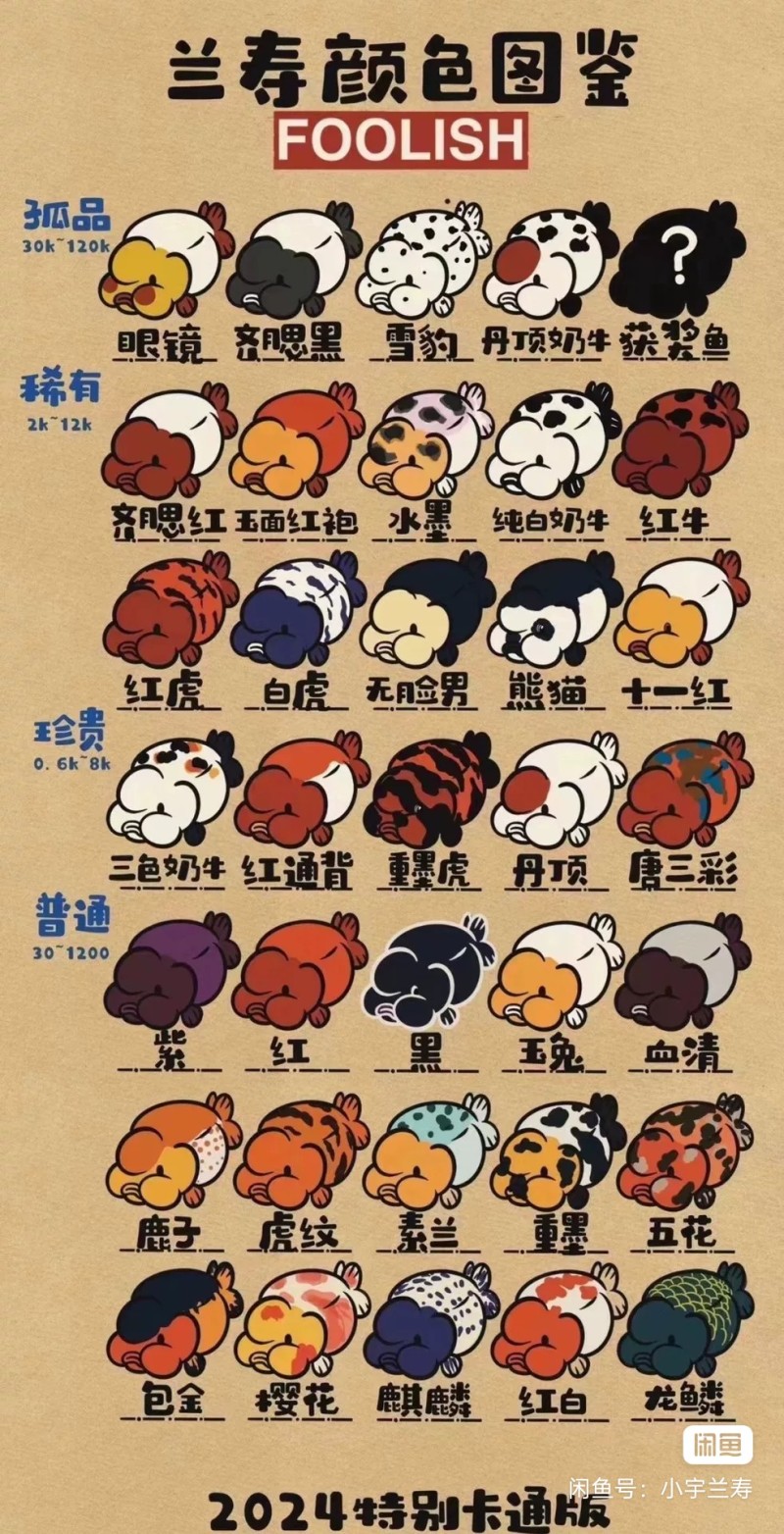 兰寿玛丽泰狮金鱼批发