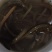 野生土黄鳝