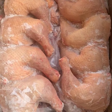 屠宰检疫排腿，个大均匀、新鲜现杀。