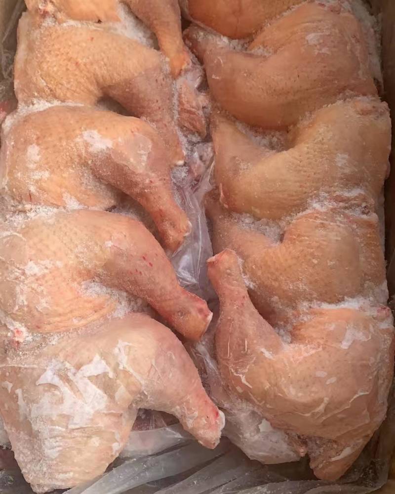 屠宰检疫排腿，个大均匀、新鲜现杀。