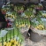 辽宁绥中旱黄瓜