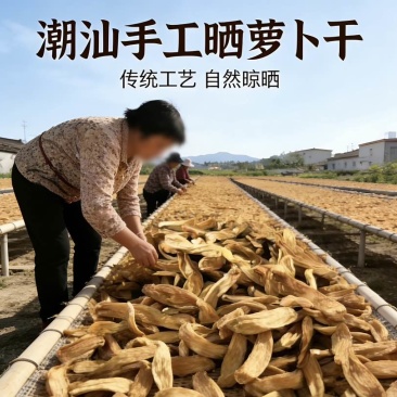 潮汕农家菜脯粒，日晒菜脯粒，萝卜干，萝卜丁，菜脯，菜脯粒