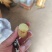 各种规格小土豆