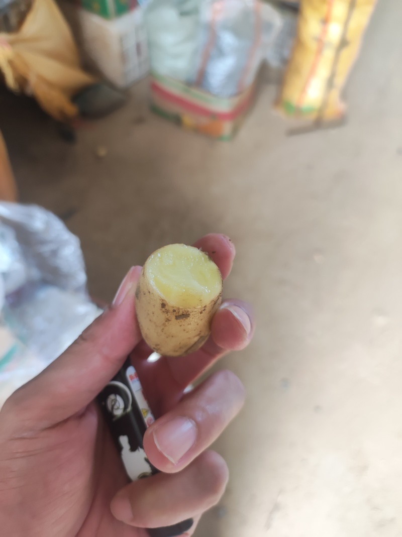 各种规格小土豆