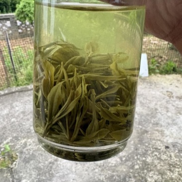 五合圣峰茶，高山有机绿茶