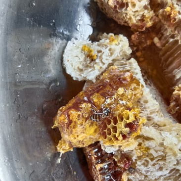 我想卖大山生态蜂蜜，和小蜜蜂蜂蜜