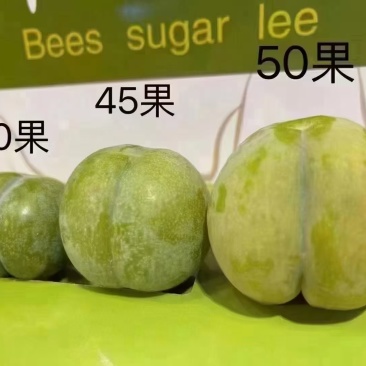 贵州安顺镇宁六马蜂糖李