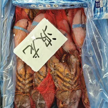 波士顿龙虾7只装大量现货量大从优