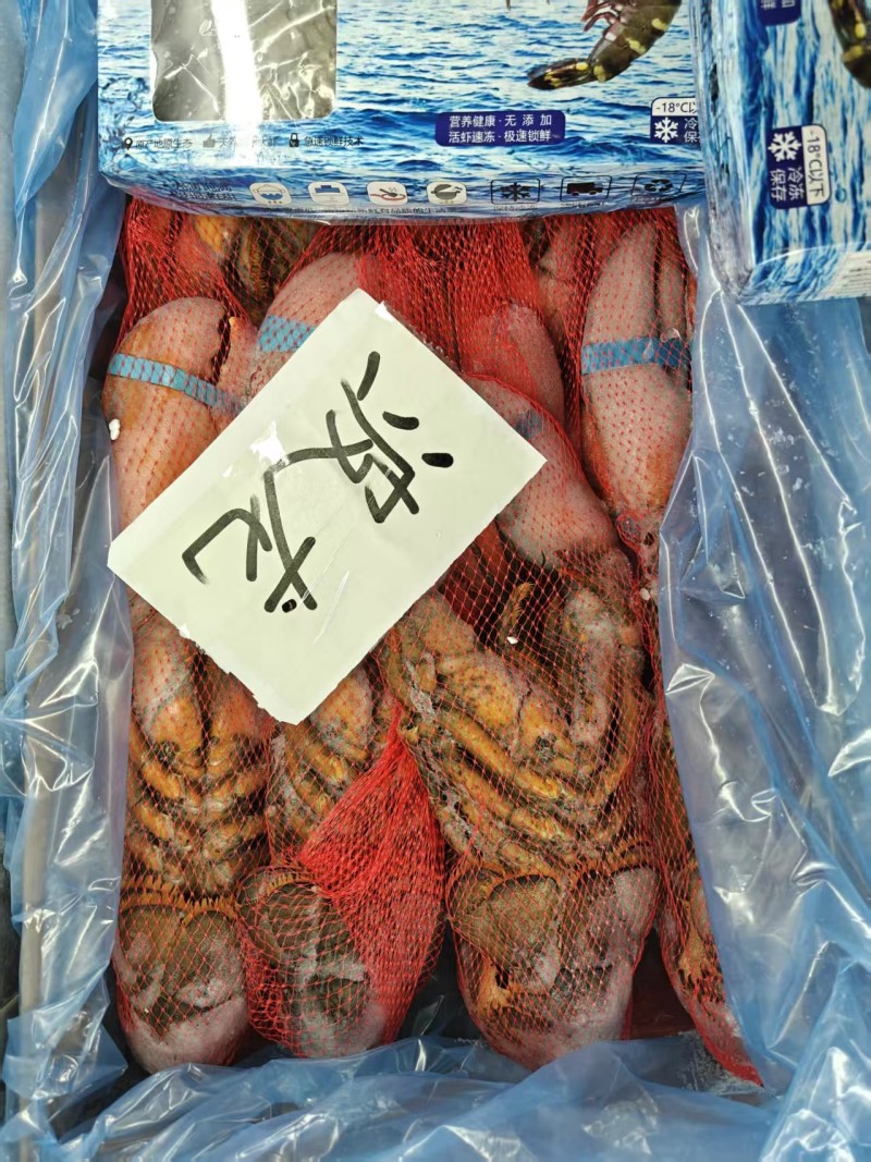 波士顿龙虾7只装大量现货量大从优
