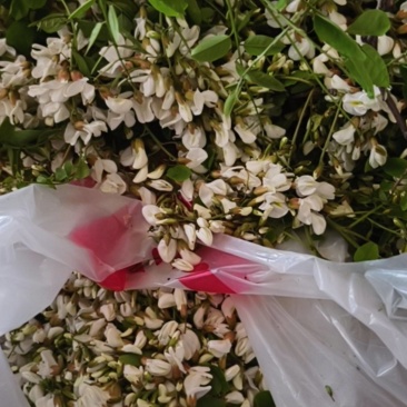 槐花