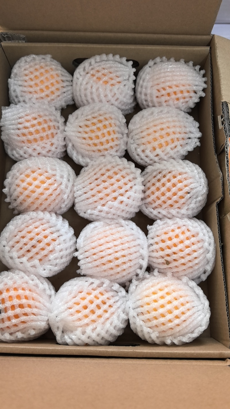 永善码口枇杷