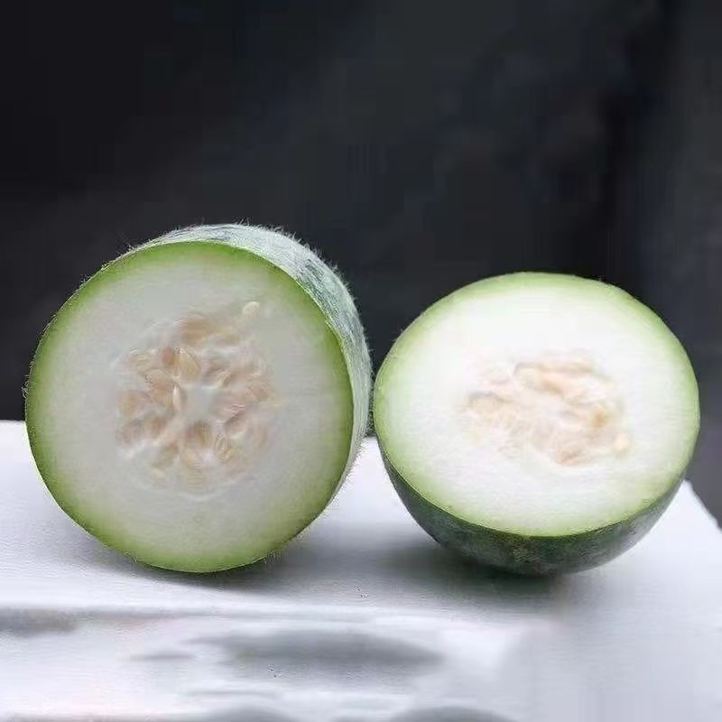 冬瓜秧苗穴盘苗发货根系发达易成活抗病害高产苗