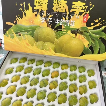 贵州六马蜂糖李